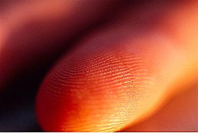 粉丝别看《塞尔达传说：王国之泪》14分试玩视频